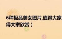 6种极品美女图片,值得大家欣赏下载（6种极品美女图片值得大家欣赏）