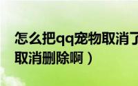 怎么把qq宠物取消了?（QQ宠物怎么关怎么取消删除啊）