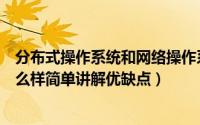 分布式操作系统和网络操作系统（服务器分布式操作系统怎么样简单讲解优缺点）