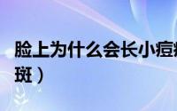 脸上为什么会长小痘痘（脸上为什么会长黄褐斑）