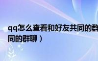 qq怎么查看和好友共同的群（QQ怎么查询与好友有哪些共同的群聊）