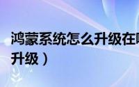 鸿蒙系统怎么升级在哪里升级（鸿蒙系统怎么升级）