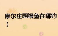 摩尔庄园鳗鱼在哪钓（摩尔庄园鳗鱼在哪里钓）