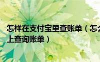 怎样在支付宝里查账单（怎么查询支付宝对账单 怎么在电脑上查询账单）
