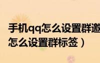 手机qq怎么设置群邀请不自动通过（手机QQ怎么设置群标签）