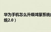 华为手机怎么升级鸿蒙系统内测（华为手机怎么升级鸿蒙系统2.0）
