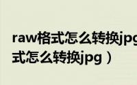 raw格式怎么转换jpg后变为5m左右（raw格式怎么转换jpg）