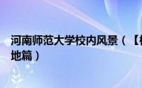 河南师范大学校内风景（【校园指南】河南师范大学拍照胜地篇）