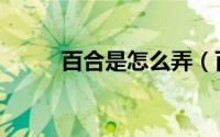 百合是怎么弄（百合具体怎么用）