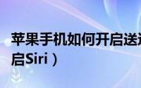 苹果手机如何开启送达报告（苹果手机如何开启Siri）