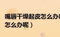 嘴唇干燥起皮怎么办吃什么药（嘴唇干燥起皮怎么办呢）