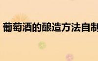 葡萄酒的酿造方法自制（葡萄酒的酿造方法）
