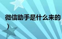 微信助手是什么来的（微信助手是什么怎么用）