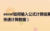 excel如何输入公式计算结果（在Excel表格中如何输入公式快速计算数据）