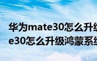 华为mate30怎么升级鸿蒙os系统（华为mate30怎么升级鸿蒙系统）
