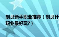 剑灵新手职业推荐（剑灵什么职业适合新手平民?剑灵哪个职业最好玩?）
