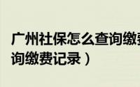 广州社保怎么查询缴费记录（广州社保怎么查询缴费记录）