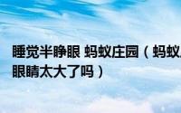 睡觉半睁眼 蚂蚁庄园（蚂蚁庄园睡觉时会半睁着眼睛是因为眼睛太大了吗）