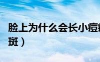 脸上为什么会长小痘痘（脸上为什么会长黄褐斑）