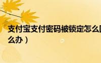 支付宝支付密码被锁定怎么回事（支付宝支付密码被锁定怎么办）