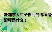 赴加拿大生子移民的流程是什么意思（赴加拿大生子移民的流程是什么）