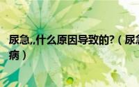 尿急,,什么原因导致的?（尿急是什么原因引起的 尿急是什么病）