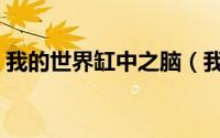 我的世界缸中之脑（我的世界缸中之脑介绍）