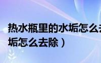 热水瓶里的水垢怎么去除化学（热水瓶里的水垢怎么去除）