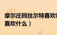 摩尔庄园丝尔特喜欢吃什么（摩尔庄园丝尔特喜欢什么）