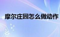 摩尔庄园怎么做动作（摩尔庄园怎么交易）