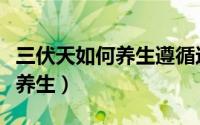 三伏天如何养生遵循这八大法则（三伏天如何养生）