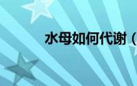 水母如何代谢（水母如何饲养）