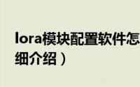 lora模块配置软件怎么用（LoRa模块参数详细介绍）