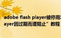 adobe flash player被停用怎么办（解决“Adobe Flash Player因过期而遭阻止”教程）