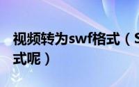 视频转为swf格式（SWF怎么转换AVI视频格式呢）