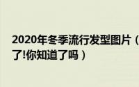 2020年冬季流行发型图片（2019年冬季最流行的发型公布了!你知道了吗）