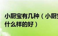 小厨宝有几种（小厨宝是什么厨宝好用吗厨宝什么样的好）