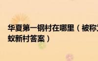 华夏第一钢村在哪里（被称为“华夏第一钢村”的村子是蚂蚁新村答案）