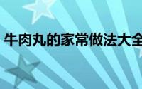 牛肉丸的家常做法大全（牛肉丸的家常做法）