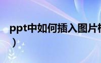 ppt中如何插入图片框（PPT中如何插入图片）