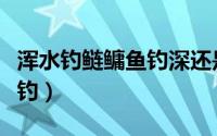 浑水钓鲢鳙鱼钓深还是钓浅（浑水钓鲢鳙怎么钓）