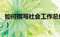 如何撰写社会工作总结（如何撰写社会学论文）