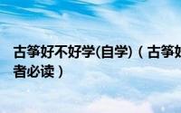 古筝好不好学(自学)（古筝好学吗怎样正确的学好古筝 初学者必读）
