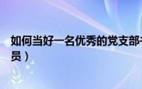 如何当好一名优秀的党支部书记（如何当好一名优秀的列车员）
