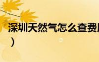 深圳天然气怎么查费用（深圳天然气怎么交费）