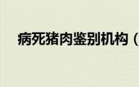 病死猪肉鉴别机构（病死猪肉鉴别方法）