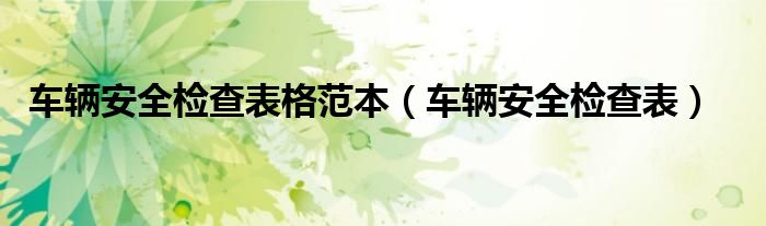 车辆安全检查表格范本（车辆安全检查表）