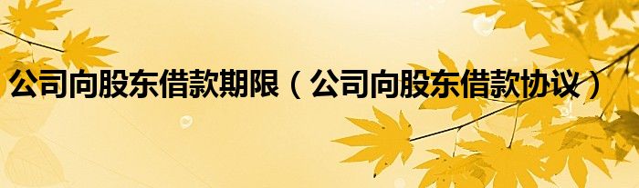 公司向股东借款期限（公司向股东借款协议）