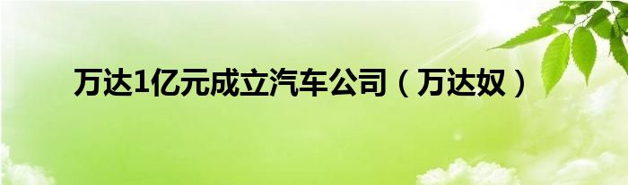 万达1亿元成立汽车公司（万达奴）