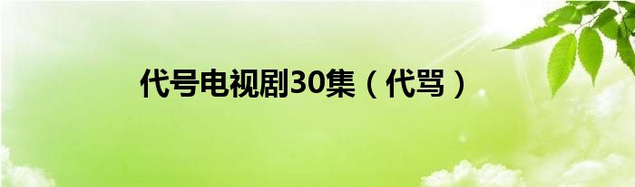 代号电视剧30集（代骂）
